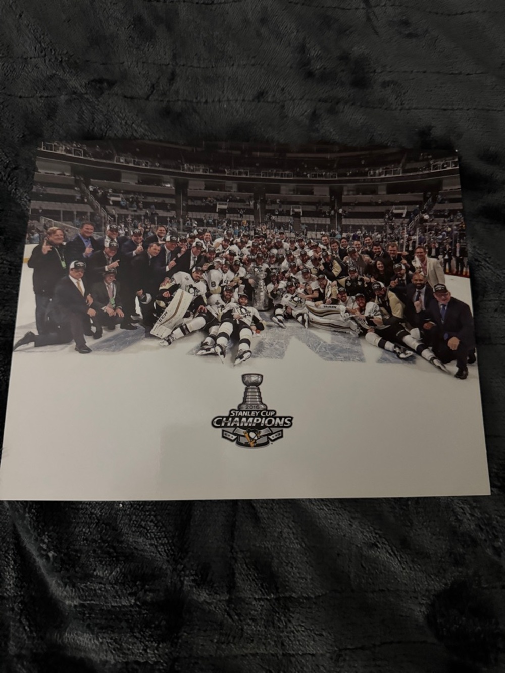 2016 Stanley Cup Champions Team Photo Poster - White/Black